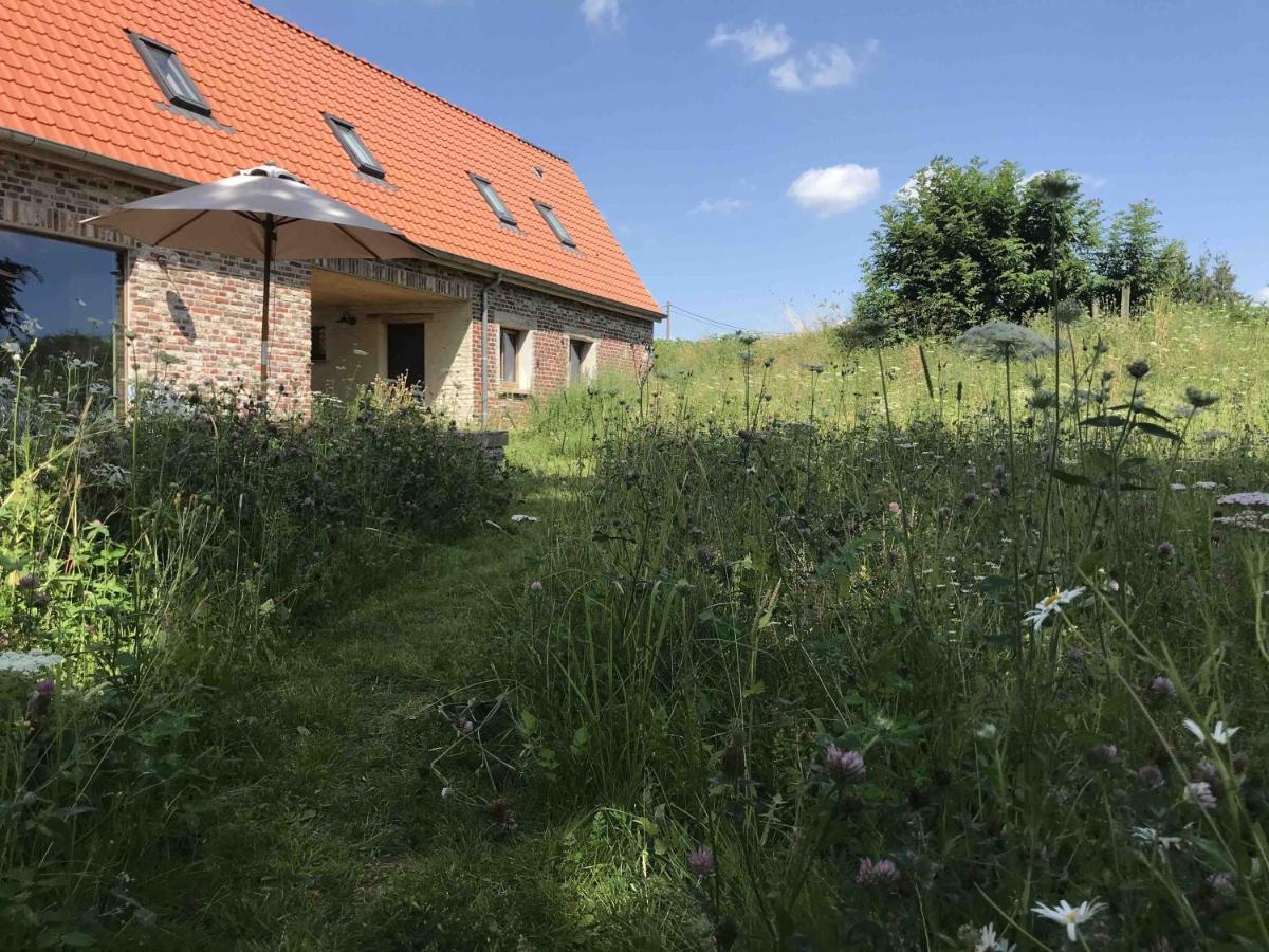 Nachtegael Hoekhuis, Knusse Woning Met Prachtig Vergezicht Kluisbergen Exterior photo