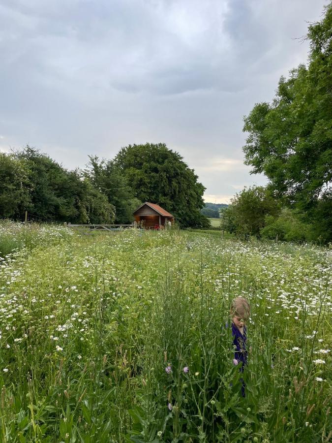 Nachtegael Hoekhuis, Knusse Woning Met Prachtig Vergezicht Kluisbergen Exterior photo